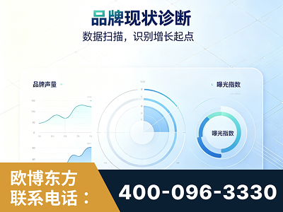 灵宝-品牌现状诊断