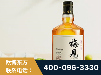 灵宝-梅见青梅酒